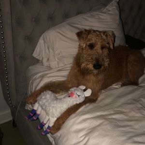 Meet your Posher, Randi